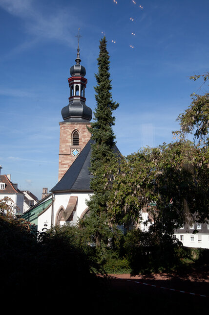 2011_09_23_schloss_Brunnen_vhs_06-100_533x800